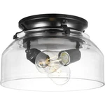 Progress Lighting P260000 Springer 2 Light Kit - Black. Fixed Price $174.99.