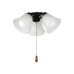 Black Led Ceiling Fan Light Kit From The Kits Collection. Fixed Price $82.00.