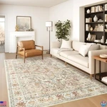5x7 Washable Area Rug - Stain Resistant, Non-slip, Low Pile, Vintage Boho Decor. Fixed Price $47.03.