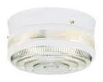 Westinghouse 5-1/4 In. H X 10-3/4 W 10.75 L Ceiling Light. Fixed Price $47.38.