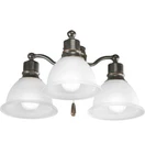 Progress Lighting P2623-20wb Ceiling Fan 4 Light Kit Antique Bronze. Fixed Price $50.00.