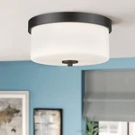 Emak Black Modern Flush Mount Ceiling Light Fixture With Milk Glass, Fm082-bk.... Fixed Price $87.09.