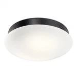 Ried - 17w 1 Led Ceiling Fan Light Kit 6.5 Inches Wide-anvil Iron Finish. Fixed Price $144.97.