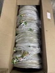 21pc Ff130e Recessed Light Cover, Tenmat Inside Height 9", Width 15", Length 14". Fixed Price $200.00.