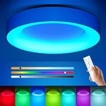 Annaror Rgb Flush Mount Ceiling Light With Remote Control, 2400lm Dimmable Ce.... Fixed Price $54.82.