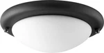 Quorum Ceiling Fan Light Kit In Noir. Fixed Price $94.00.