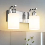 Jazava Milk Glass Bathroom Light, 2-light Vanity Light Fixture, Brushed Nickel W. Fixed Price $89.11.