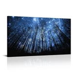 Visual Art Decor Blue Starry Night Forest Tree Silhouette Canvas Wall Nat.... Fixed Price $85.48.