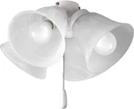 4-light Universal Ceiling Fan Light Kit For Airpro Collection Fans, New. Fixed Price $103.99.
