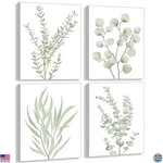 Botanical Plant Canvas Wall Art Set Of 4, Framed Eucalyptus Prints, 8"x10". Fixed Price $32.92.