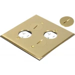 Orbit Flb-r2g-dd-c-br 'flr Box Rnd Plug (sqr. Plt)w/2-recept Cvr Only,brass. Fixed Price $85.85.