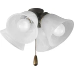 Progress Lighting P2643-wb 4 Light 13-3/4"w Medium (e26) Ceiling - Bronze. Fixed Price $75.96.
