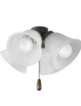 Progress Lighting P2643-20wb 4 Light 13-5/8 W Ceiling Fan - Antique Bronze. Fixed Price $59.95.