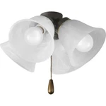 Progress Lighting Fan Light Kits 4-light Antique Bronze Ceiling Kit. Fixed Price $49.95.