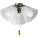Progress Lighting P2642-wb 3 Light 13-5/8"w Medium (e26) Ceiling - Nickel. Fixed Price $60.41.