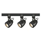 Nuvo Lighting Track Kit 12w Led Pinch Back In Black - Tk414. Fixed Price $221.99.