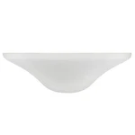 Aspen Creative 25303-76-1, Frosted Glass Shade For Medium Base Socket Torchie.... Fixed Price $100.45.