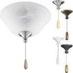 Progress Lighting Fan Light Kits 2-light Unfinished Ceiling Kit. Fixed Price $49.65.
