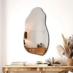 Trahome Irregular Asymmetrical Wall Mirror For Living Room Bathroom Entryway,.... Fixed Price $69.02.
