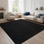 Area Rugs For Living Room Or Bedroom, Black Carpet Runner Rug Indoor Mat. Fixed Price $27.51.