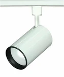 Nuvo Th200 - 1-light R20 Track Lighting Head Straight Cylinder. Fixed Price $41.49.