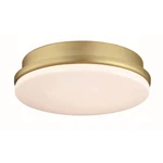 Fanimation Kute Led Light Kit, Brushed Satin Brass - Lk8534bs. Fixed Price $119.98.