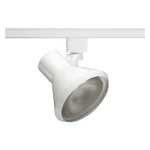 Juno Lighting Track Head,flare,wht,6in R550 Wh. Fixed Price $40.15.