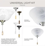 Progress Lighting Fan Light Kits 2light Ceiling Kit **light Only**. Fixed Price $47.26.