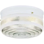 Westinghouse Lighting 6623800 Two-light Flush-mount Interior Ceiling Fixture,. Fixed Price $54.87.