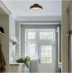 Viluxy 13-inch Industrial Semi Flush Mount Ceiling Light Vintage Green. Fixed Price $40.00.