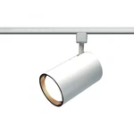 White R20 Straight Cylinder. Fixed Price $23.99.