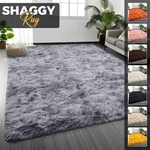 Modern Area Rugs Indoor Shaggy Carpet Non Slip Fluffy Rug For Living Room. Fixed Price $19.95.
