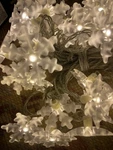 Ikea Str La Led String Light White 48 Lights Curtain Hanging 704.653.88. Fixed Price $34.95.