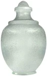 Kastlite 88066-cl-8f/88066-cl-9f Polycarbonate Clear Acorn With Fitter Neck. Fixed Price $109.90.