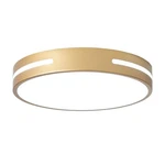 Wheatronic Gold Led Light Fixtures Ceiling Mount, Overhead Flush 12inch,. Fixed Price $72.99.