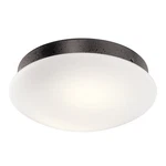Kichler 380356 Ried Dimmable Led Light Kit - Anvil Iron. Fixed Price $144.97.
