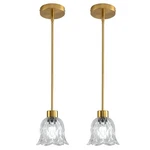 Cafulam Pendant Lamp With Glass Shade, Modern Antique Brass Lights,hangi. Fixed Price $56.87.