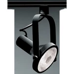 Nuvo Lighting 1 Light Par38 Track Head Gimbal Ring, Black - Th225. Fixed Price $34.99.