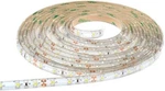 Sa10372ww Sensio Led 24v 24w 300d Ip65 Flexible Strip Light, 196.85", Warm White. Fixed Price $116.99.