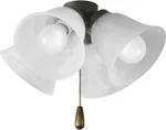 Progress Lighting Fan Light Kits 4-light Antique Bronze Ceiling Kit. Fixed Price $42.49.