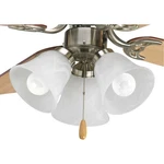 Progress Lighting P2600-09wb: Brushed Nickel Dimmable Three-light Led Light Kit. Fixed Price $85.00.