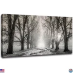 Black & White Forest Canvas Wall Art - Modern Landscape Decor For Home. Fixed Price $84.48.