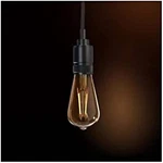 Feit Electric 3000161 Black 1 Lights Pendant Light. Fixed Price $30.44.