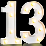 Treela 8.7'' Birthday Decorative Led Light Up Numbers, Glitter Marquee Number.... Fixed Price $22.17.