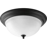 Progress Lighting 3-light Flush Mount Ceiling Light Fixture For Indoor Use. Fixed Price $96.22.