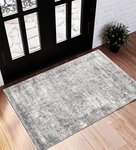 Champlant Area Rug 2x3 Washable Door Mat 2' X 3' (rectangular), Grey. Fixed Price $31.70.