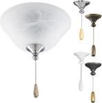 2-light Ceiling Fan Light Kit For Airpro Collection Fans, Classic Tranis. Fixed Price $110.99.