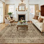 Wondrg 8x10 Washable Area Rug Brown Vintage Distressed For Living Room Bedroom. Fixed Price $167.98.