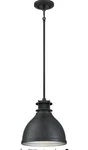 Westinghouse Kilian Matte Brushed Gun Metal 1 Lights Pendant Light. Fixed Price $25.00.