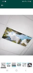 Octo Lights Fluorescent Ceiling Light Covers Classroom, Office Home Tree Sky 009. Fixed Price $29.29.
